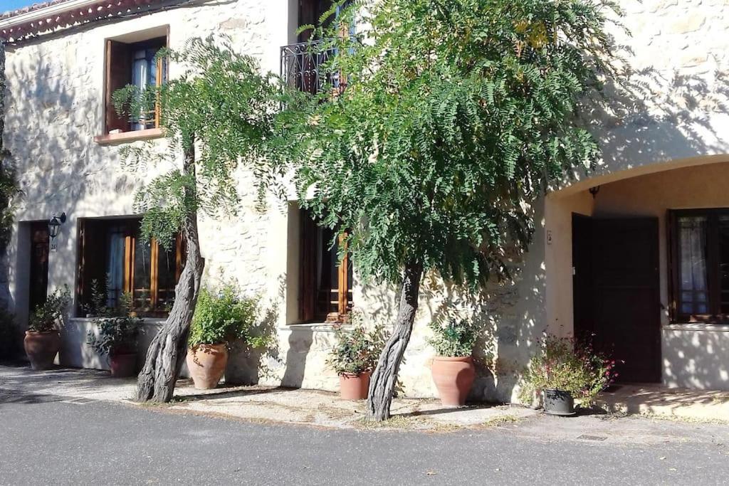 Chez Sheila Apartment Cucugnan Ngoại thất bức ảnh
